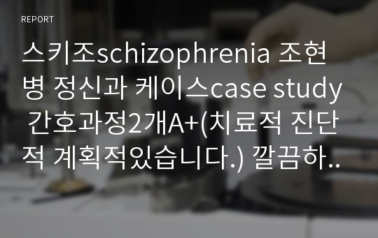 스키조schizophrenia 조현병 정신과 케이스case study 간호과정2개A+(치료적 진단적 계획적있습니다.) 깔끔하게 정리되어있습니다.