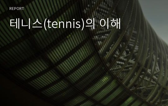 테니스(tennis)의 이해