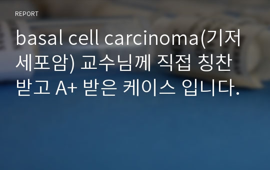 basal cell carcinoma(기저세포암) 교수님께 직접 칭찬받고 A+ 받은 케이스 입니다.