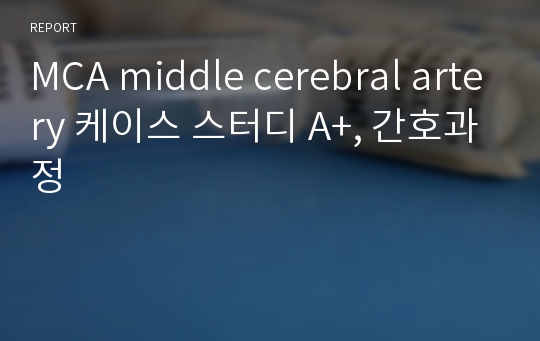 MCA middle cerebral artery 케이스 스터디 A+, 간호과정