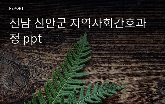 전남 신안군 지역사회간호과정 ppt