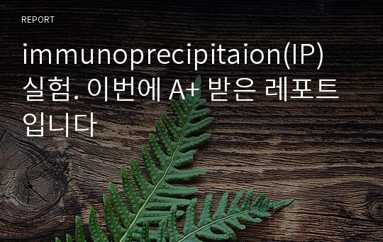 immunoprecipitaion(IP) 실험. 이번에 A+ 받은 레포트입니다