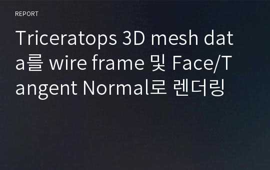 Triceratops 3D mesh data를 wire frame 및 Face/Tangent Normal로 렌더링