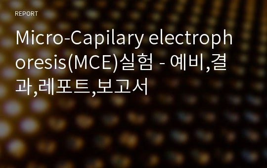 Micro-Capilary electrophoresis(MCE)실험 - 예비,결과,레포트,보고서