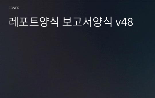 레포트양식 보고서양식 v48