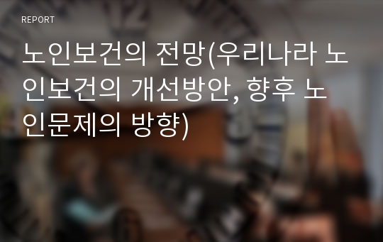 노인보건의 전망(우리나라 노인보건의 개선방안, 향후 노인문제의 방향)