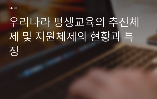 우리나라 평생교육의 추진체제 및 지원체제의 현황과 특징