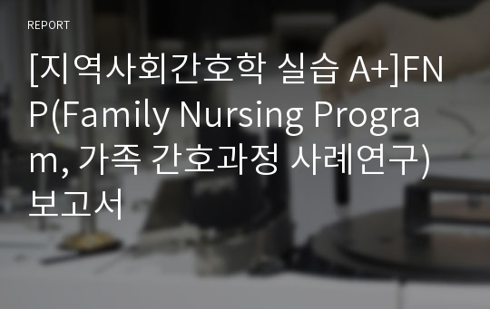 [지역사회간호학 실습 A+]FNP(Family Nursing Program, 가족 간호과정 사례연구) 보고서