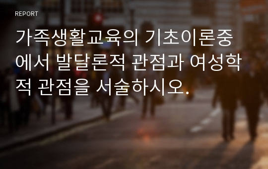 가족생활교육의 기초이론중에서 발달론적 관점과 여성학적 관점을 서술하시오.