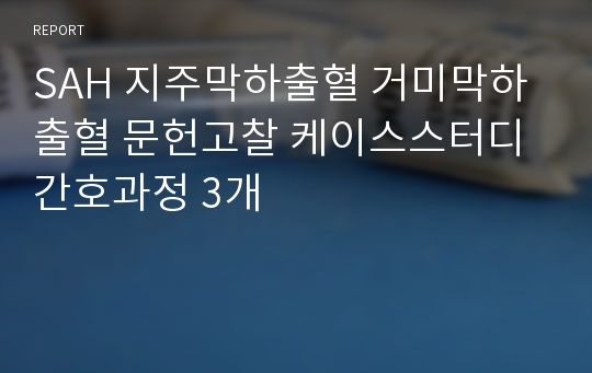 SAH 지주막하출혈 거미막하출혈 문헌고찰 케이스스터디 간호과정 3개