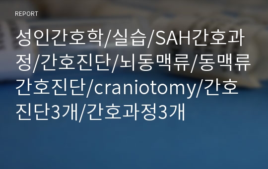 성인간호학/실습/SAH간호과정/간호진단/뇌동맥류/동맥류간호진단/craniotomy/간호진단3개/간호과정3개