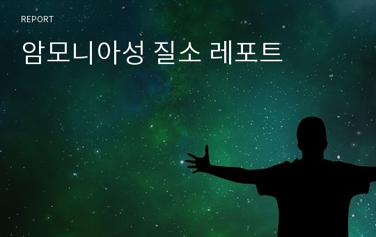 암모니아성 질소 레포트