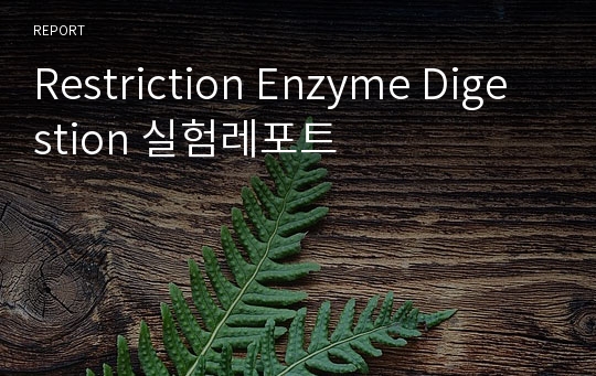 Restriction Enzyme Digestion 실험레포트