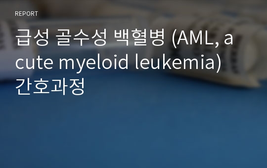 급성 골수성 백혈병 (AML, acute myeloid leukemia) 간호과정