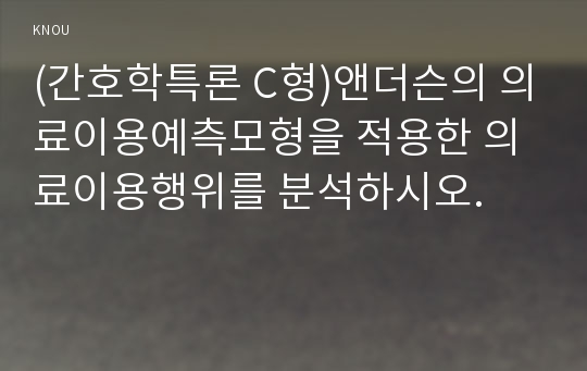 (간호학특론 C형)앤더슨의 의료이용예측모형을 적용한 의료이용행위를 분석하시오.