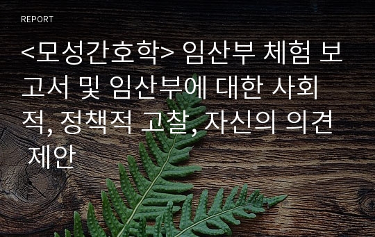 &lt;모성간호학&gt; 임산부 체험 보고서 및 임산부에 대한 사회적, 정책적 고찰, 자신의 의견 제안