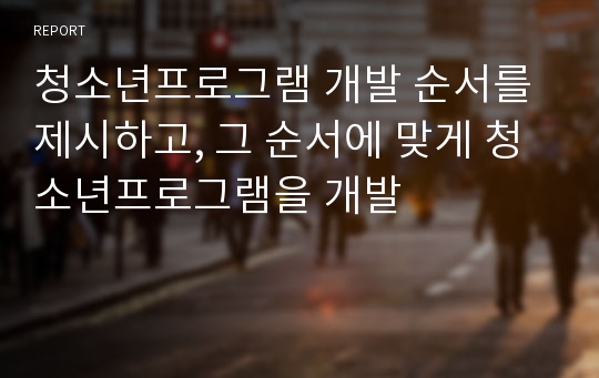 청소년프로그램 개발 순서를 제시하고, 그 순서에 맞게 청소년프로그램을 개발