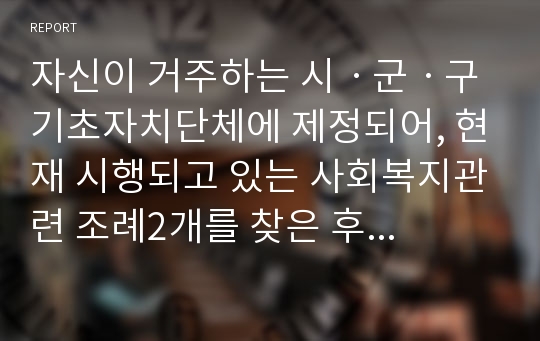 자신이 거주하는 시ㆍ군ㆍ구 기초자치단체에 제정되어, 현재 시행되고 있는 사회복지관련 조례2개를 찾은 후 찾은 조례의 제정 목적 및 조례 내용을 간략하게 요약 기술하고, 각 조례의 문제점과 개선방안