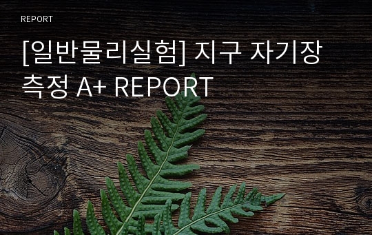 [일반물리실험] 지구 자기장 측정 A+ REPORT