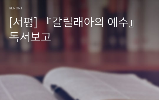 [서평] 『갈릴래아의 예수』 독서보고