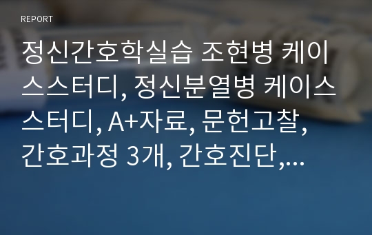 정신간호학실습 조현병 케이스스터디, 정신분열병 케이스스터디, A+자료, 문헌고찰, 간호과정 3개, 간호진단, 간호중재