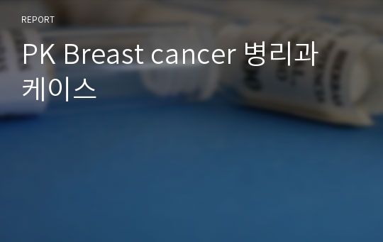 PK Breast cancer 병리과 케이스