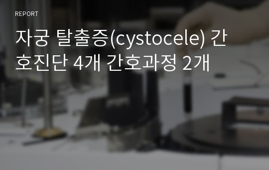 자궁 탈출증(cystocele) 간호진단 4개 간호과정 2개