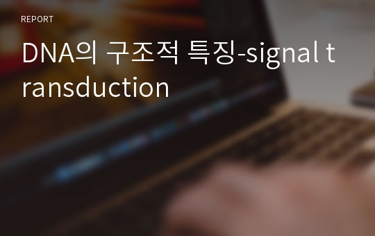 DNA의 구조적 특징-signal transduction