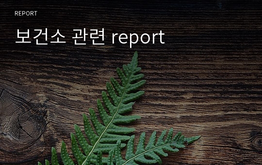 보건소 관련 report