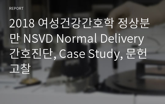 2018 여성건강간호학 정상분만 NSVD Normal Delivery 간호진단, Case Study, 문헌고찰
