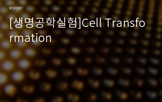 [생명공학실험]Cell Transformation