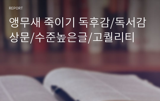 앵무새 죽이기 독후감/독서감상문/수준높은글/고퀄리티