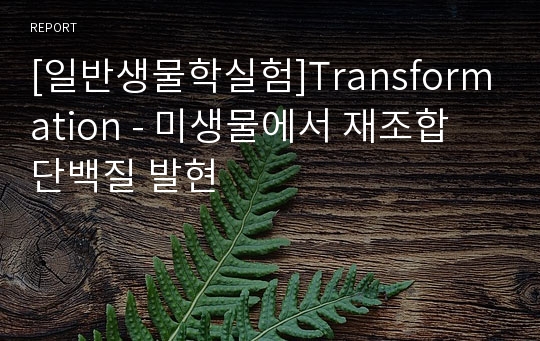 [일반생물학실험]Transformation - 미생물에서 재조합 단백질 발현