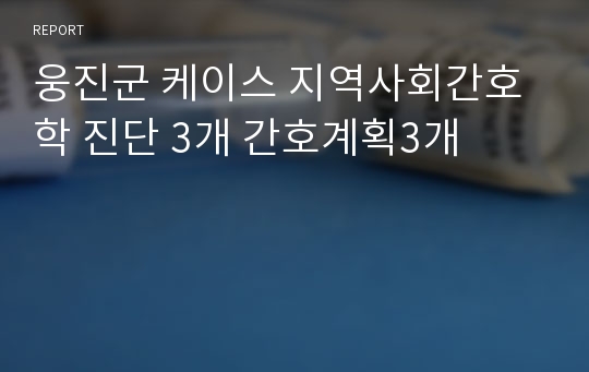 웅진군 케이스 지역사회간호학 진단 3개 간호계획3개