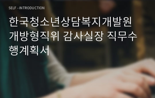 한국청소년상담복지개발원 개방형직위 감사실장 직무수행계획서