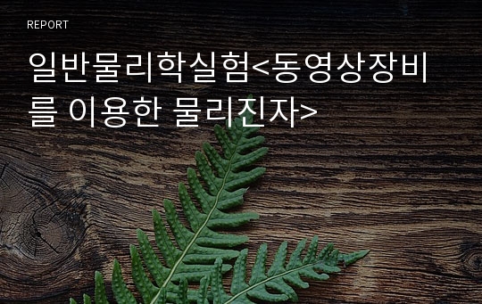 일반물리학실험&lt;동영상장비를 이용한 물리진자&gt;