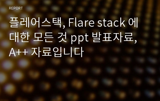 플레어스택, Flare stack 에 대한 모든 것 ppt 발표자료, A++ 자료입니다