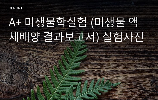 A+ 미생물학실험 (미생물 액체배양 결과보고서) 실험사진