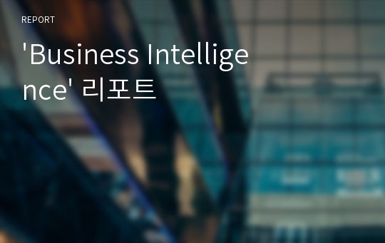 &#039;Business Intelligence&#039; 리포트