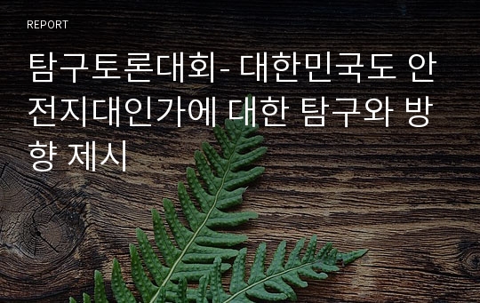 탐구토론대회- 대한민국도 안전지대인가에 대한 탐구와 방향 제시