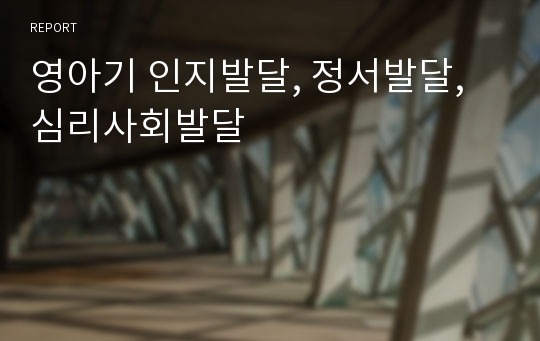 영아기 인지발달, 정서발달, 심리사회발달