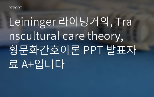 Leininger 라이닝거의, Transcultural care theory, 횡문화간호이론 PPT 발표자료 A+입니다