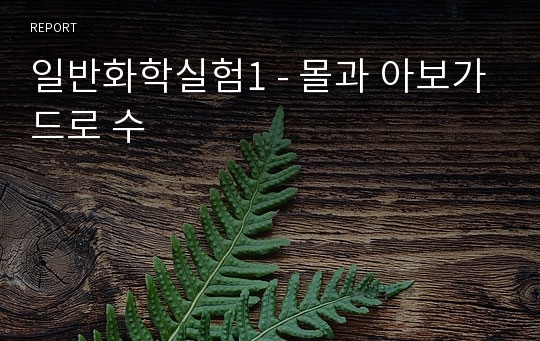 일반화학실험1 - 몰과 아보가드로 수