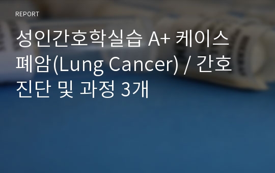 성인간호학실습 A+ 케이스 폐암(Lung Cancer) / 간호진단 및 과정 3개