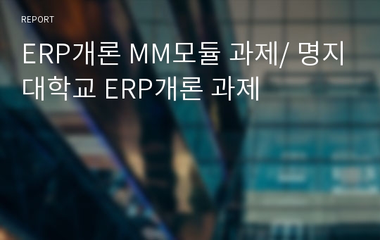 ERP개론 MM모듈 과제/ 명지대학교 ERP개론 과제