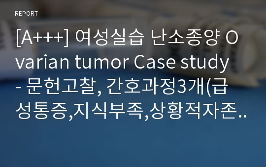 [A+++] 여성실습 난소종양 Ovarian tumor Case study - 문헌고찰, 간호과정3개(급성통증,지식부족,상황적자존감저하)