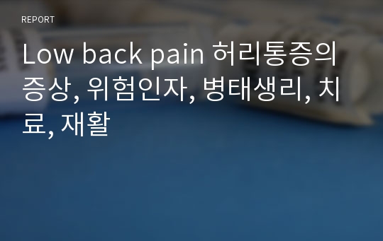 Low back pain 허리통증의 증상, 위험인자, 병태생리, 치료, 재활