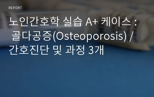 노인간호학 실습 A+ 케이스 : 골다공증(Osteoporosis) / 간호진단 및 과정 3개