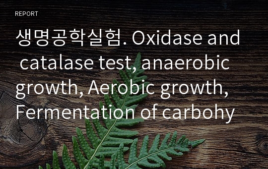 생명공학실험. Oxidase and catalase test, anaerobic growth, Aerobic growth, Fermentation of carbohydrates
