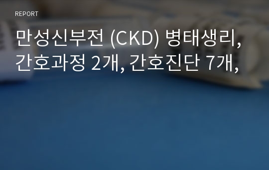 만성신부전 (CKD) 병태생리, 간호과정 2개, 간호진단 7개,